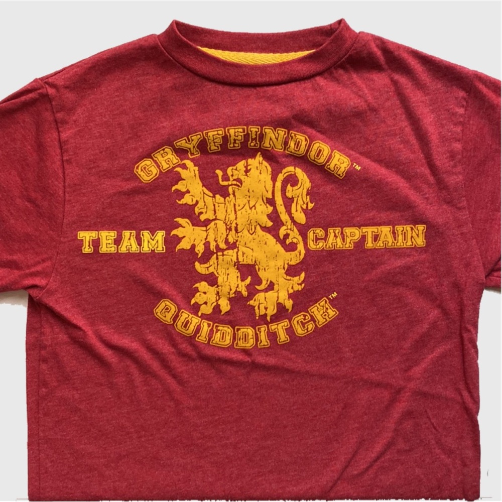 SALE! 3 for $20🌠 Harry Potter Gryffindor Quidditch Team Captain red t-shirt